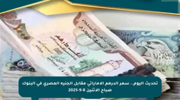 تحديث اليوم.. سعر الدرهم الإماراتي مقابل الجنيه المصري في البنوك صباح الاثنين 8-9-2025